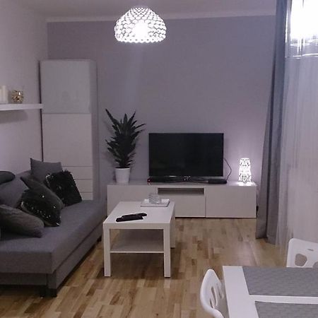 1 Bedroom City Center Apartment Катовице Стая снимка